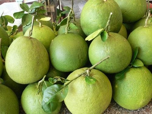 Bưởi da xanh có thể sốt giá cuối năm Ảnh minh họa