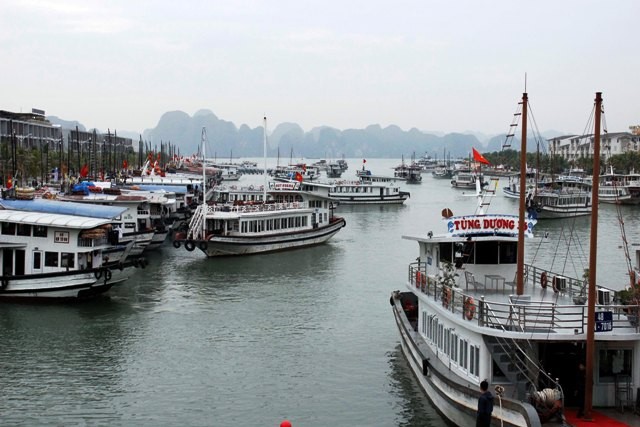 Tập đoàn Tuần Châu đề xuất xây dựng Đại lộ ven sông Sài Gòn Từ đảo cá hoang sơ, nay cảng Tuần Châu tấp nập du thuyền đón trả khách
