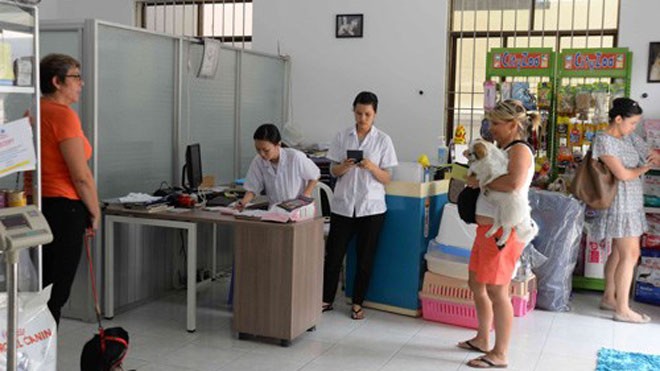 Dịch vụ chăm thú cưng ngày tết Thú cưng được chăm tại Phòng khám thú y Saigon Pet Clinic - Ảnh: D.Đ.M