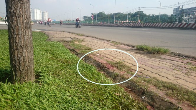 Đi xuống ruộng lúa, cô gái bị trộm khênh xe đạp điện Ảnh minh họa