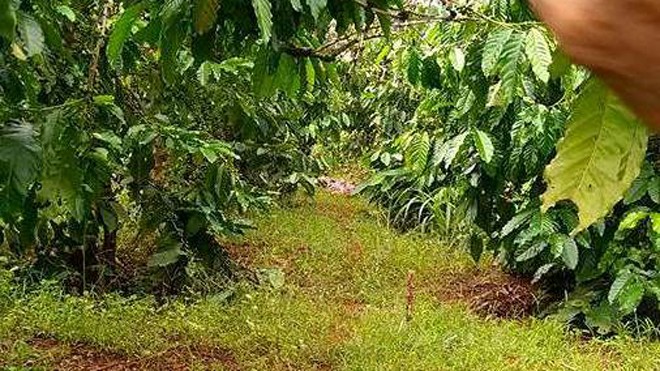 Người đàn ông chết không nguyên vẹn sau tiếng nổ lớn Hiện trường vụ nổ