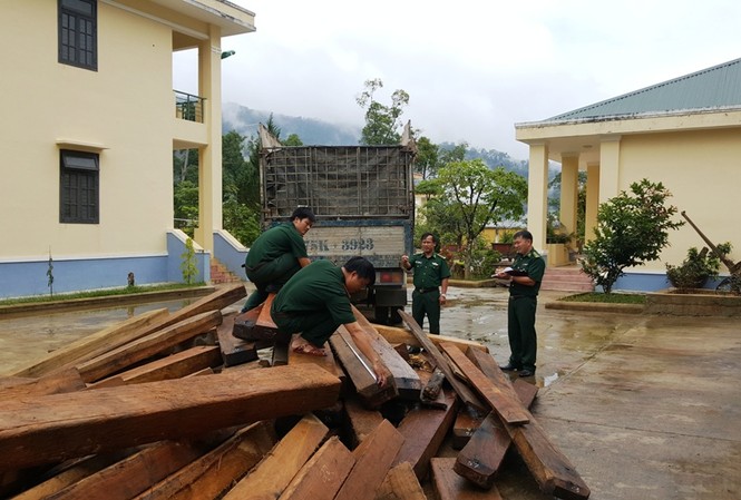 Biên phòng bắt gần 80 phách gỗ lậu vào rạng sáng Lực lượng biên phòng tại TT-Huế tạm giữ số gỗ lậu phục vụ công tác điều tra.