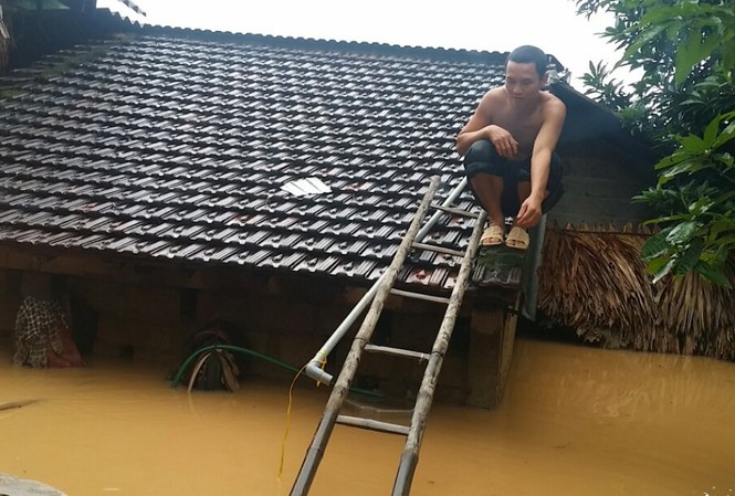Mưa lũ miền Trung, nhà ngập tận nóc Người dân leo lên nóc nhà trốn lũ.