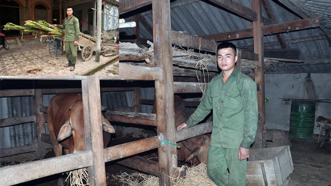 “Hot boy” mồ côi làm nông nuôi bà nội 87 tuổi và 3 em thơ dại Mất đi hai bậc sinh thành, nhưng chàng trai Hồ Quốc Hạnh không gục ngã. Một mình em đã cáng đáng mọi công việc của bố mẹ để lại, nuôi bà và 3 đứa em có cái ăn, không phải bỏ học giữa chừng. Ảnh: Vũ Trọng Hoài.