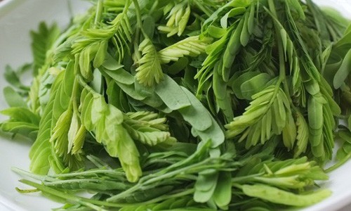 Các bệnh ngoài da một đi không trở lại với nắm lá me Các bệnh ngoài da một đi không trở lại với nắm lá me
