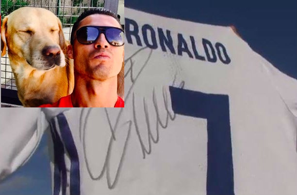 Kỷ niệm sinh nhật, Ronaldo cứu sống 80 chú chó Cristiano Ronaldo rất yêu thương động vật.