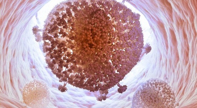 Lần đầu tiên “xóa sổ” virus HIV trong DNA của người Ảnh minh họa: Internet