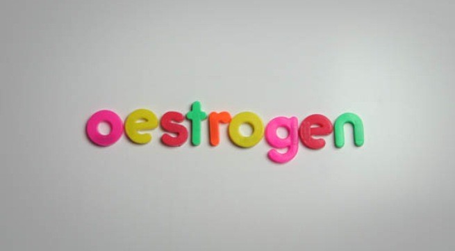 Bổ sung oestrogen hiệu quả bằng sữa chua đậu nành Ảnh minh họa: Internet