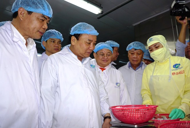 Thủ tướng Nguyễn Xuân Phúc thăm Tập đoàn thủy sản Minh Phú Thủ tướng Nguyễn Xuân Phúc thăm băng chuyền chế biến tôm giá trị gia tăng.