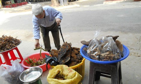 Vỡ mộng ở vương quốc linh chi bên dòng Sêrêpốk Nấm linh chi được bày bán.