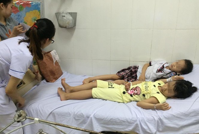 9 học sinh tiểu học nhập viện do ăn quả ngô đồng? Các em học sinh nhập viện với triệu chứng đau bụng, buồn nôn.