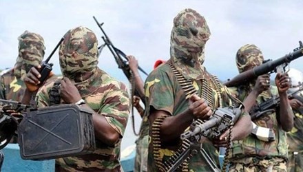 Cameroon giải thoát 30 con tin bị Boko Haram bắt cóc Phiến quân Boko Haram