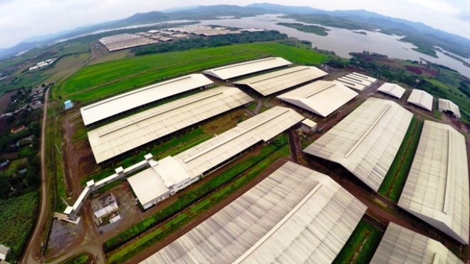 Trang trại bò sữa Việt Nam đạt kỷ lục Châu Á Toàn cảnh khu trại chính của TH tại Nghĩa Đàn – Nghệ An