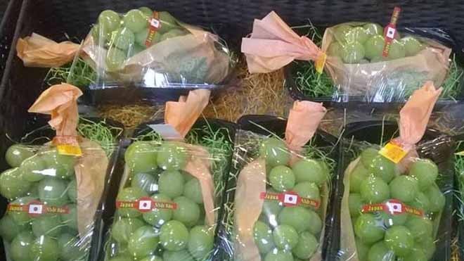 Săn quà Tết độc và lạ Giá cả triệu đồng/kg nhưng nho Nhật Bản vẫn được săn lùng làm quà biếu Tết