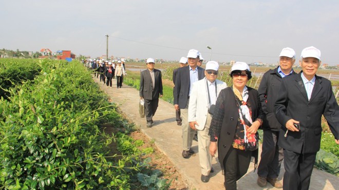 Lựa chọn sản phẩm chữa tiểu đường, bệnh nhân nên biết nhà máy và vùng trồng! Các bệnh nhân chứng kiến thực tế vùng trồng Dây thìa canh chuẩn hóa sản xuất nên Diabetna, rộng hơn 3ha tại Hải Hậu, Nam Định