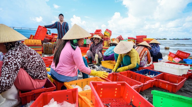 Về làng chài tỷ phú ở Vũng Tàu Người dân Phước Tỉnh sung túc nhờ biển cả