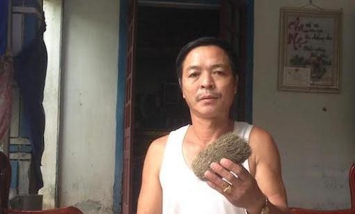 Mổ lợn nuôi 13 năm, phát hiện 'trư cát' tiền tỉ? Mổ lợn nuôi 13 năm, phát hiện 'trư cát' tiền tỉ?