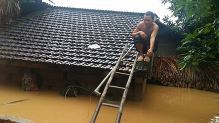 Đề nghị hỗ trợ gạo cứu đói khẩn cấp cho người dân vùng ngập lũ Người dân miền Trung đang vô cùng vất vả đối phó với lũ
