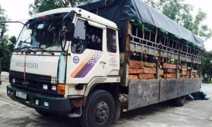 Bắt xe tải ngụy trang bim bim để chở gỗ lậu Chiếc xe tải chở gỗ lậu. Ảnh: Công an Thanh Hóa.