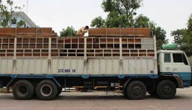 Choáng váng với xe chở gỗ quá tải... 300% ở Thanh Hóa Xe tải chở gỗ quá tải 300%.