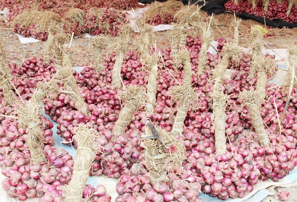 Hành tím ở thủ phủ lớn nhất miền Tây 'cháy' hàng Giá hành tím ở miền Tây tăng gấp đôi so với nửa tháng trước. Ảnh: Việt Tường/ Zing