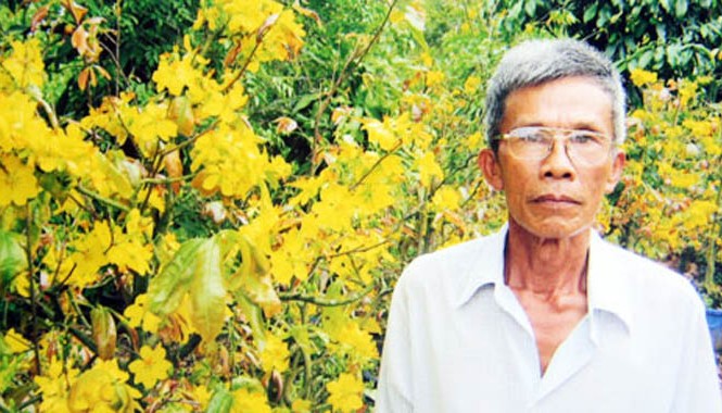 Lão nông dám 'cãi mệnh trời' ở Mai gia trang Ông Năm Hiếu bên cây mai vàng đã được xử lý không rụng từ 10-15 ngày.