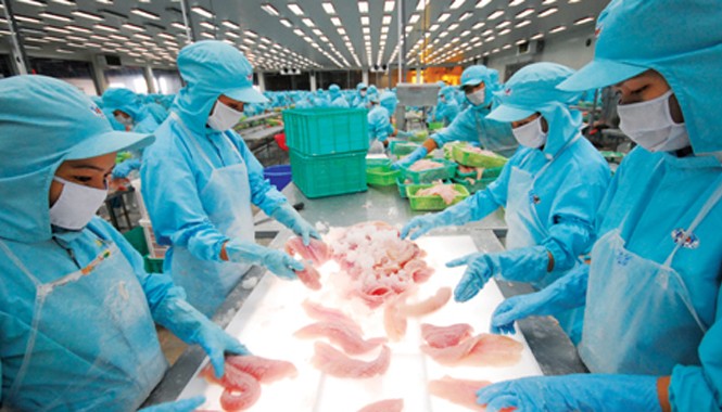 Phản đối Mỹ áp thuế phi lý với cá tra Việt Nam Cá tra Việt Nam đang bị “gánh” phần thuế chống bán phá giá phi lý nặng nề ở Mỹ.