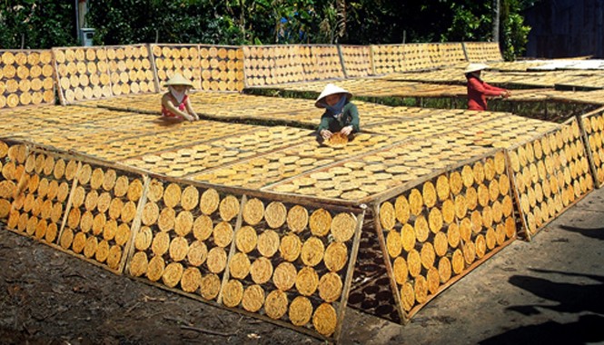Làng chuối khô trăm tuổi ở Cà Mau tất bật hàng Tết Để miếng chuối thành phẩm có màu vàng thì khâu phơi chuối là yếu tố quan trọng.