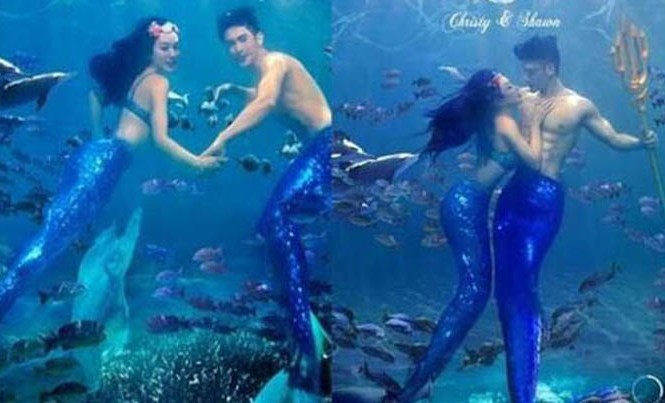 'Bom sex' gốc Việt hóa thân thành người cá trong thiệp cưới Thiệp cưới của Chung Lệ Đề.
