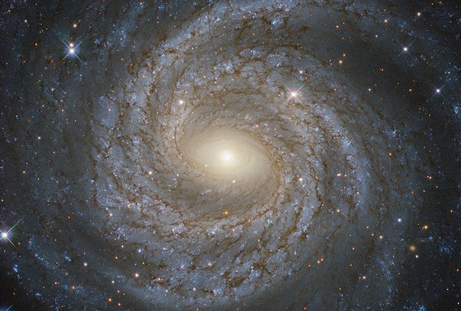 NASA phát hiện 'quái thú trốn dưới gầm giường' Hai hố đen được ví như "quái thú trốn dưới gầm giường". Ảnh: RT.