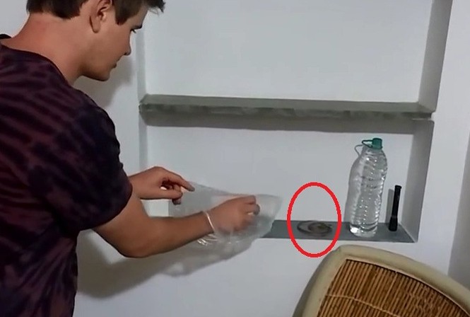 Du khách hãi hùng phát hiện rắn trong phòng khách sạn Nam du khách người Anh cầm túi nilon, rón rén bắt con rắn.