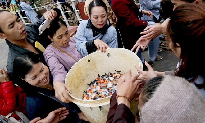Đề nghị điều tra vụ phóng sinh sinh vật ngoại lai vào sông Hồng Đề nghị điều tra vụ phóng sinh sinh vật ngoại lai vào sông Hồng