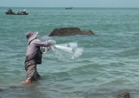 Theo chân ngư phủ 'ném' cá đối Quăng chài bắt cá đối.