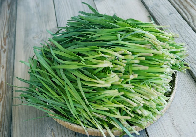 Bài thuốc đơn giản trị bệnh hiệu quả từ lá hẹ Bài thuốc đơn giản trị bệnh hiệu quả từ lá hẹ