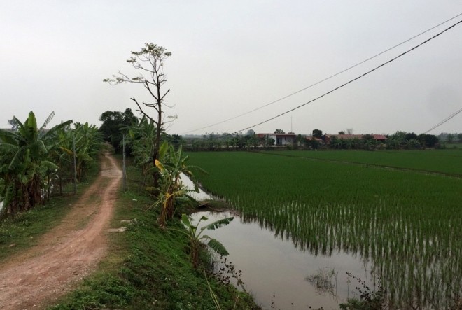 Đánh sập sới đá gà “khủng” ngoài bãi sông Hiện trường đầm thuỷ sản nơi các con bạc tổ chức đá gà