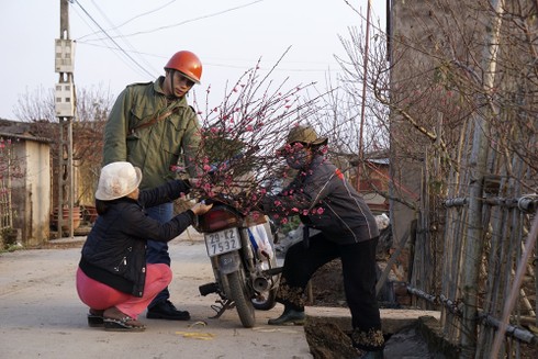 Vườn đào Nhật Tân thấm đẫm mồ hôi trong ngày giá rét - ảnh 11
