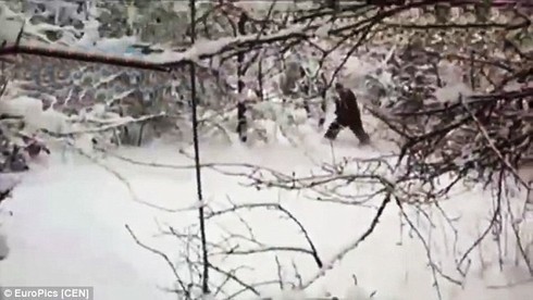 Các nhà khoa học bất ngờ bắt gặp “người tuyết Yeti” tại Nga - ảnh 2