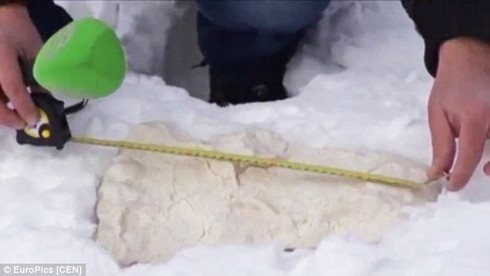 Các nhà khoa học bất ngờ bắt gặp “người tuyết Yeti” tại Nga - ảnh 3