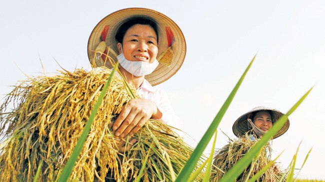 Ông Vương Đình Huệ: Kinh tế 2015 đã sáng rõ hơn - ảnh 5