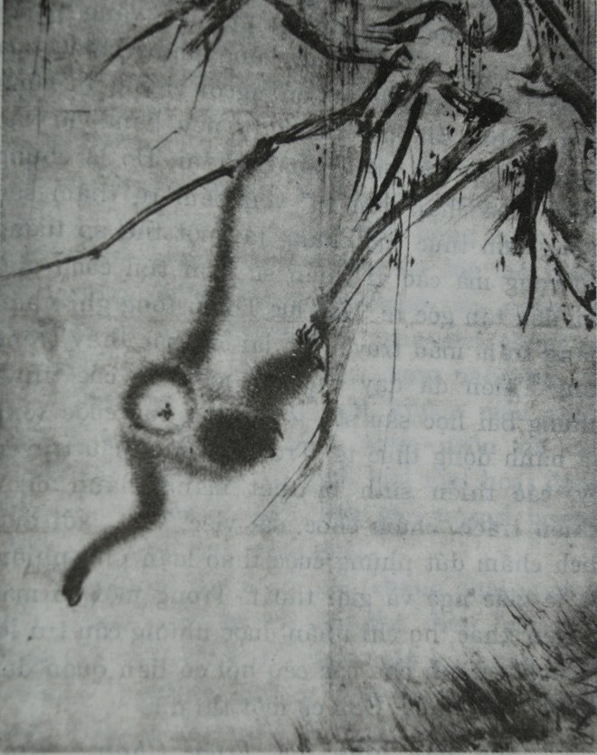 Vớt trăng - ảnh 2
