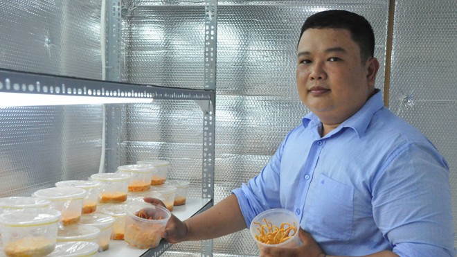 Kỹ sư điện làm giàu với nấm sạch - ảnh 1
