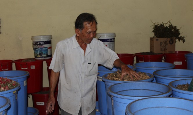 “Biệt đội” hái thuốc và những tấm lòng - ảnh 2