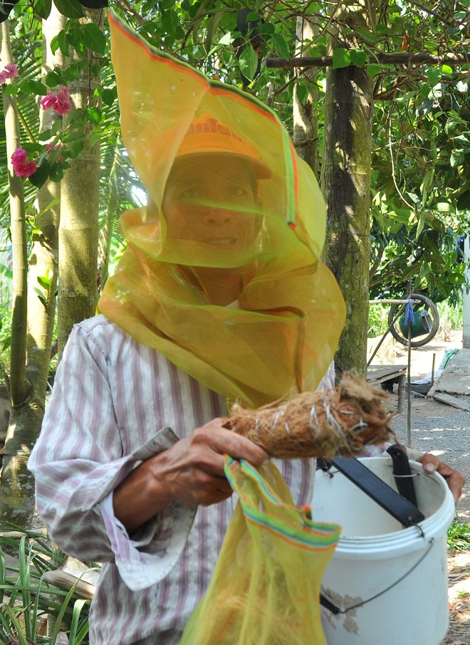 Chua chát nghề săn mật ong - ảnh 2