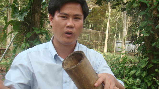 Gian nan trả bản năng gốc cho gấu - ảnh 1