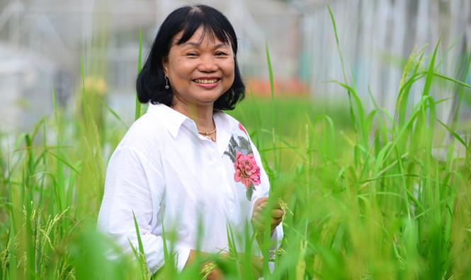 Giáo sư tiến sĩ nông dân - ảnh 1