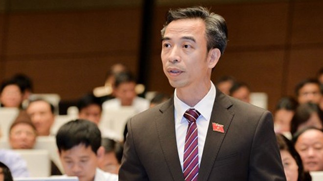 Đại biểu quốc hội nói về điểm tựa và triển vọng năm 2017 - ảnh 1