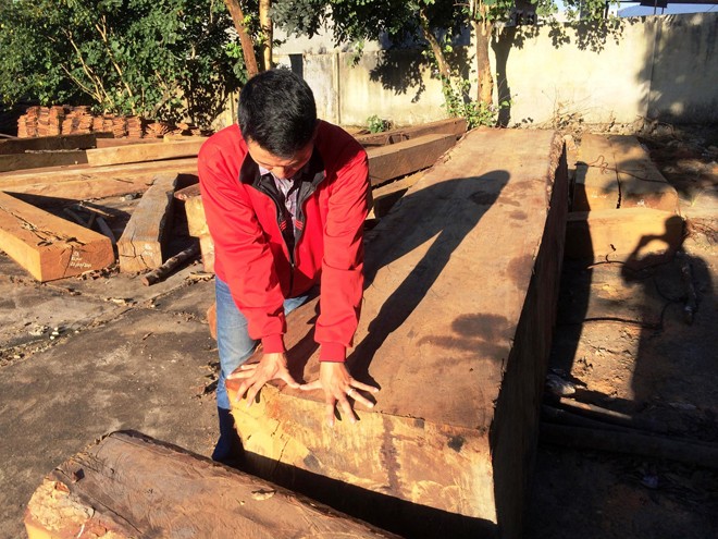 Triệt hạ gỗ quý hiếm như chốn không người - ảnh 1