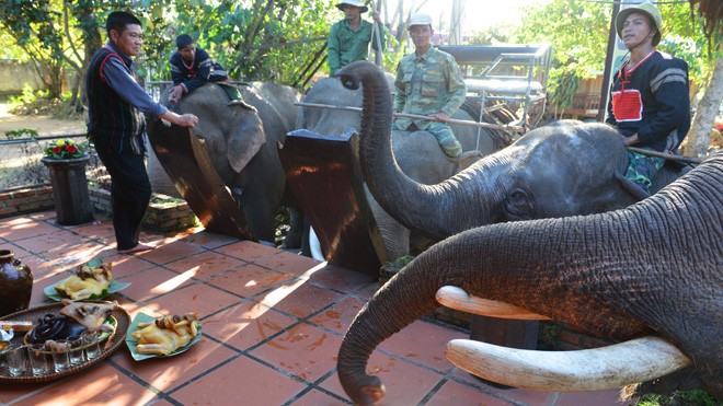 Thế là nàng đã mang thai! - ảnh 2