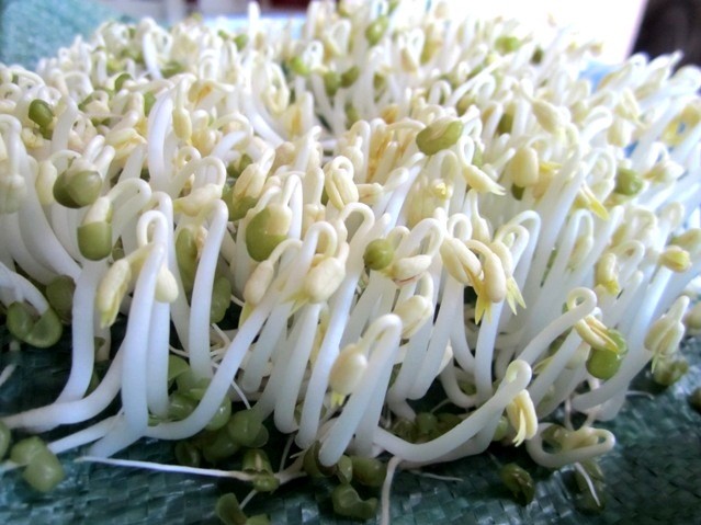 7 thực phẩm người bị cholesterol cao nên ăn - ảnh 5