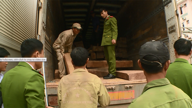 Xe tải chở ngô “đưa” gỗ Đinh Hương quý hiếm về Việt Nam - ảnh 1